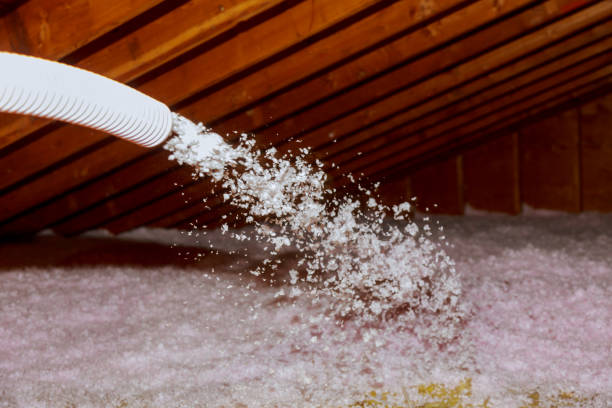 Best Attic Insulation Installation  in Osgood, IN