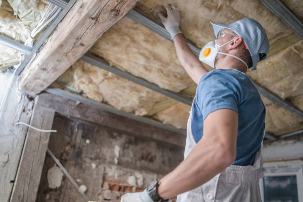 Best Insulation Contractors for Homes  in Osgood, IN