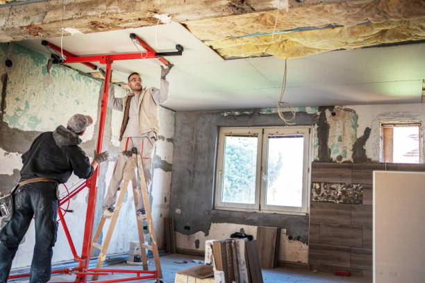 Best Spray Foam Insulation  in Osgood, IN