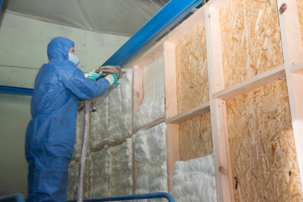 Best Insulation Contractor Near Me  in Osgood, IN