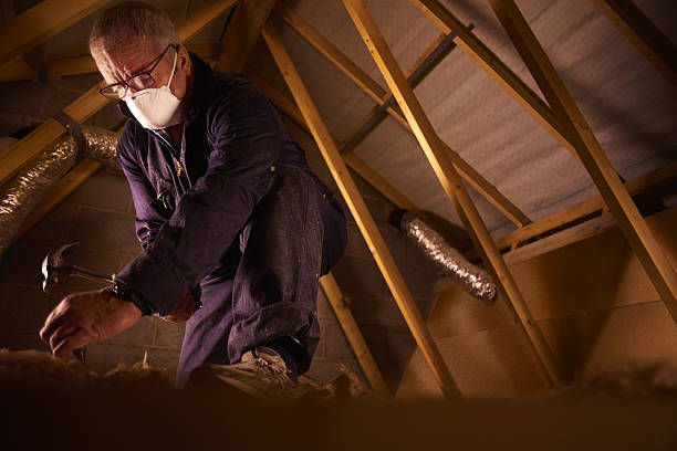 Best Insulation Contractor Near Me  in Osgood, IN
