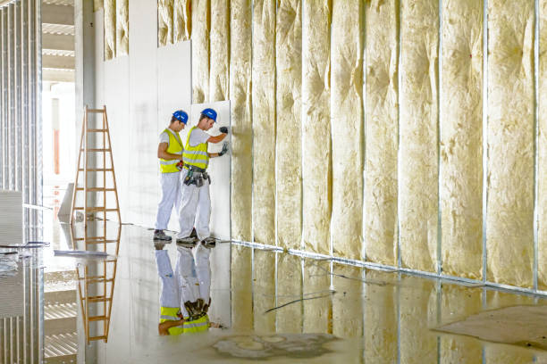 Best Soundproof Insulation Installation  in Osgood, IN